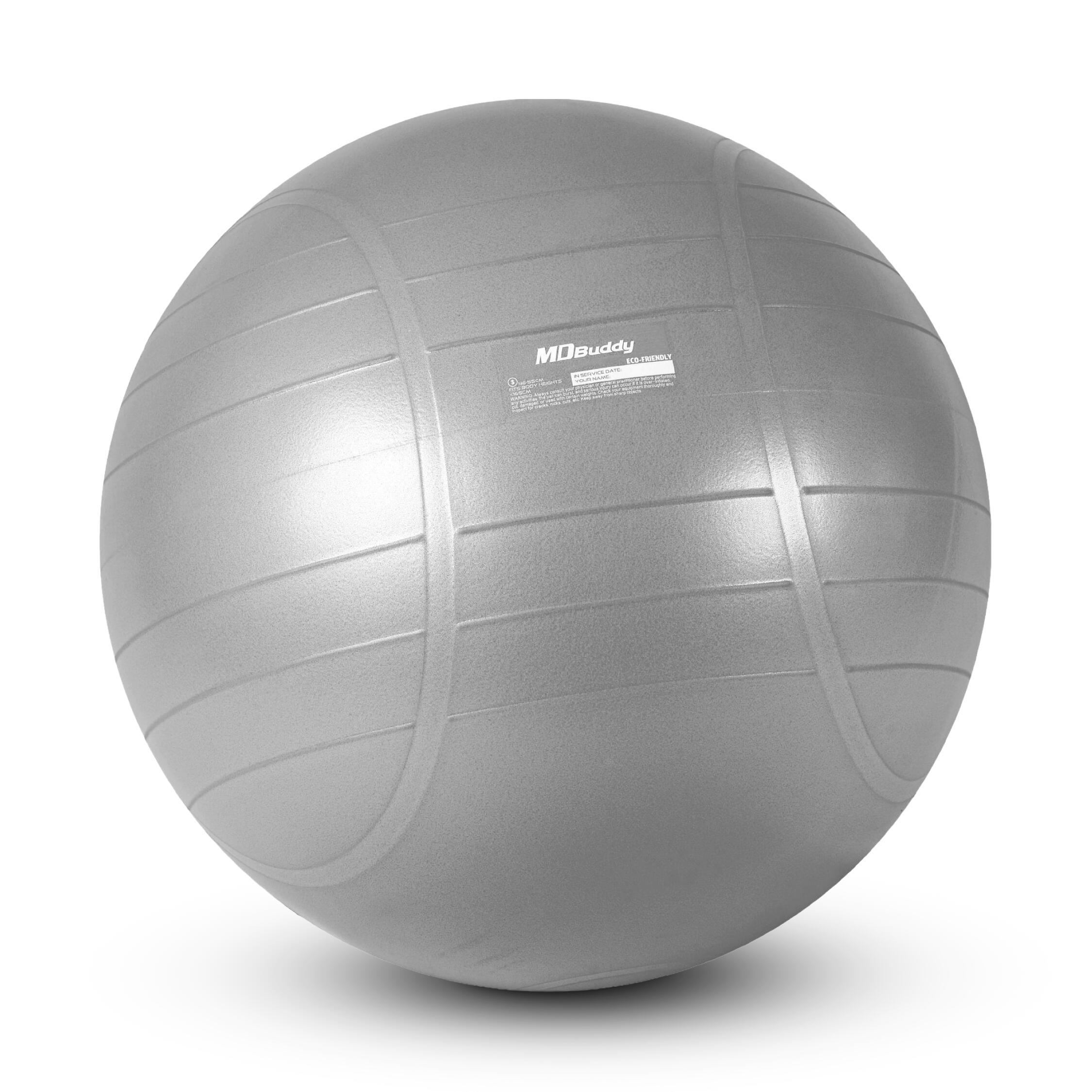 MDBuddy Commercial Gym Ball 55CM (MD1281-55MM) - IRONTEC