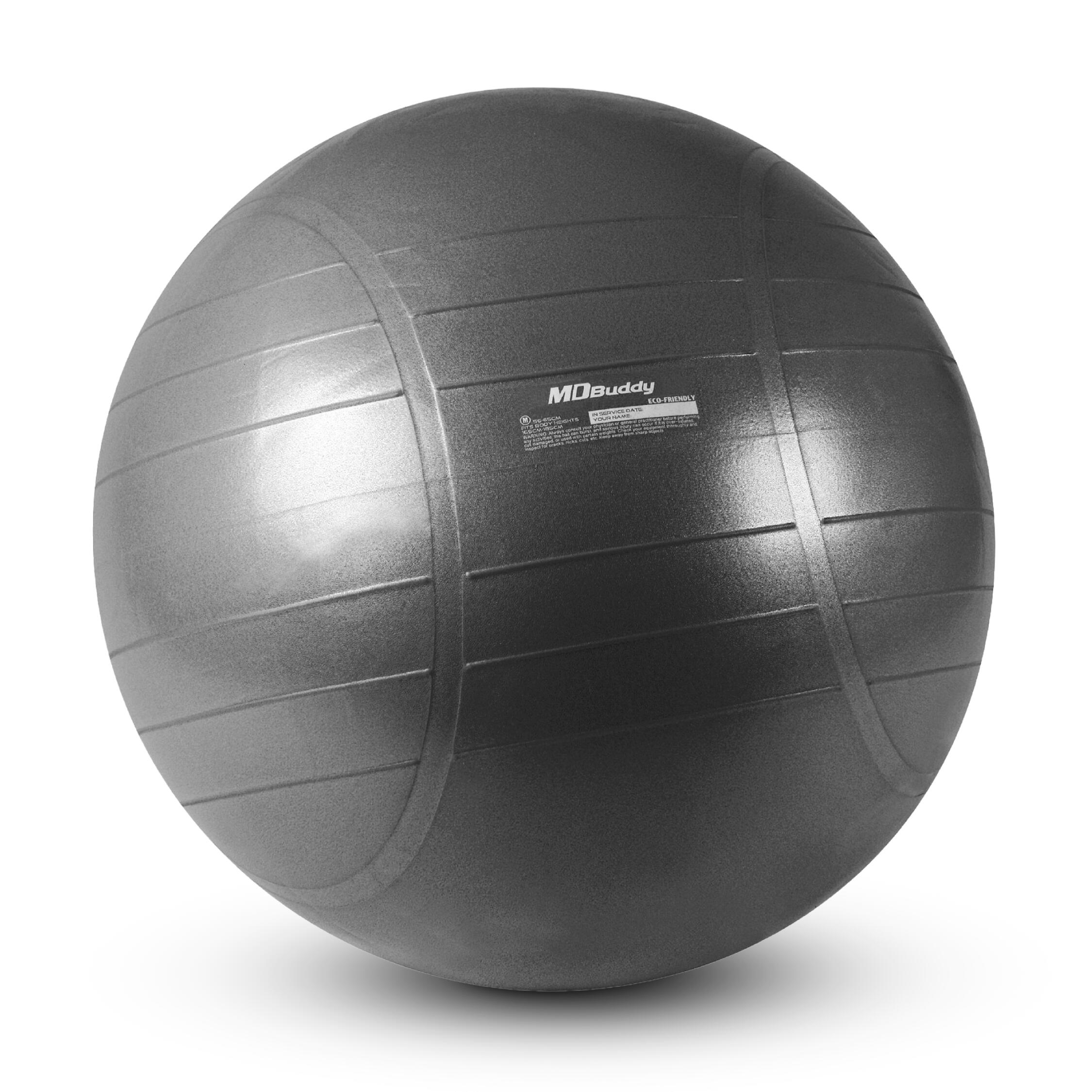 MDBuddy Commercial Gym Ball 65CM (MD1281-65MM) - IRONTEC