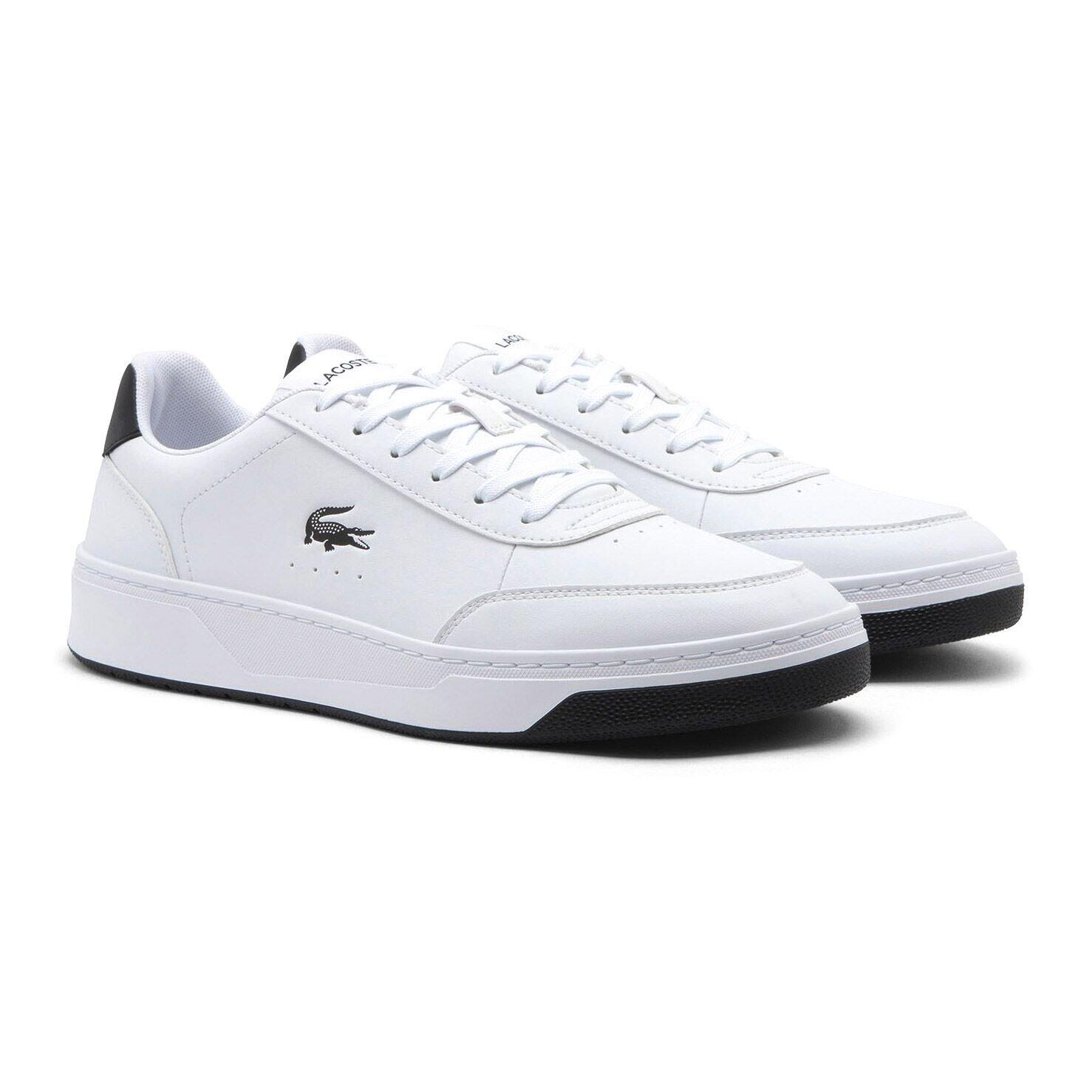 LACOSTE picture