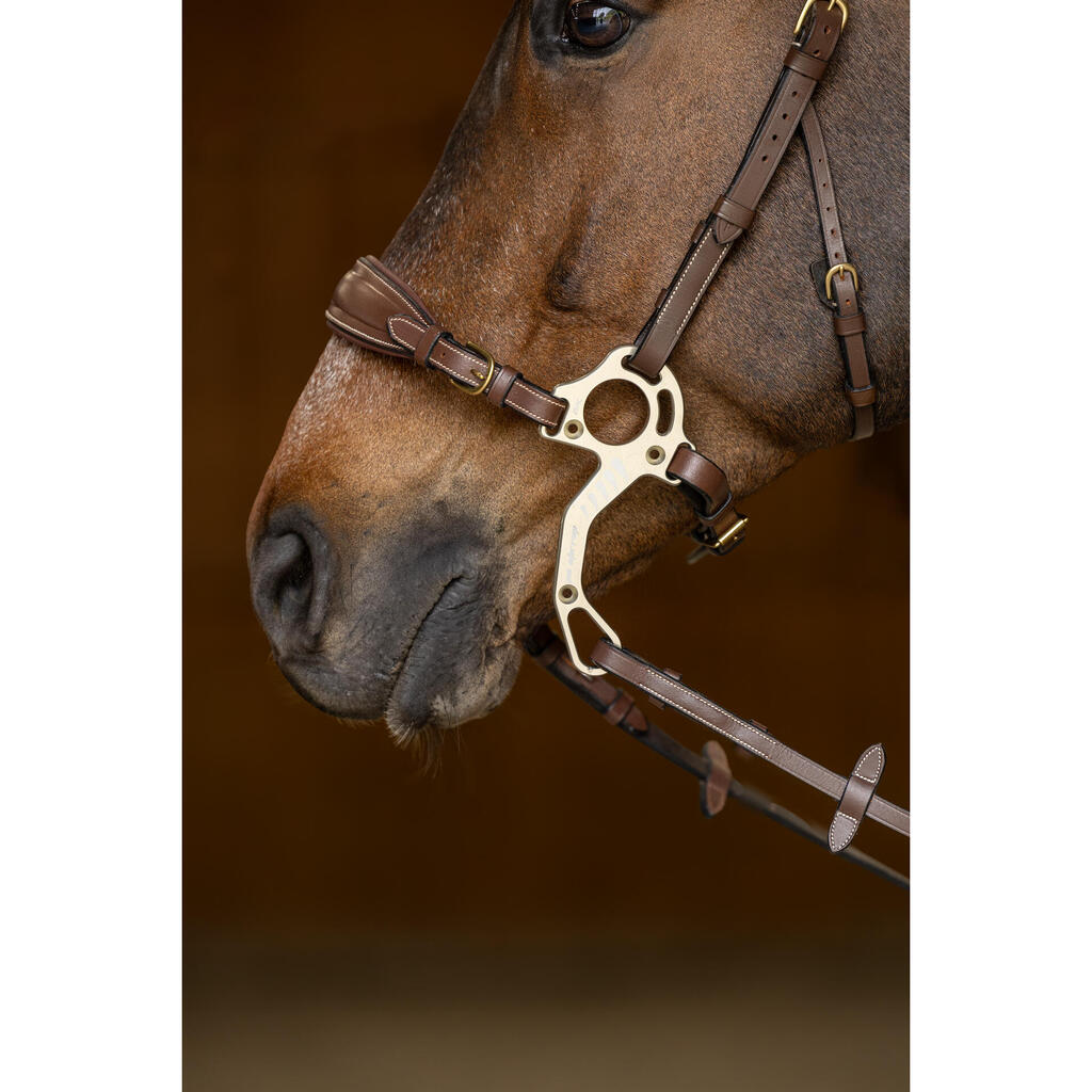 Horse muzzle and chain HFI Hackamore