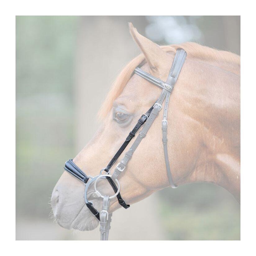 Iron noseband Kavalkade