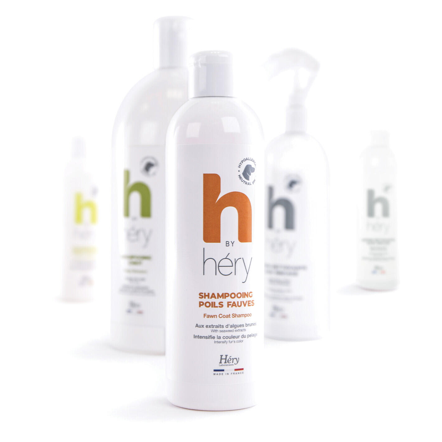 Shampoing pour chien à poil fauve Héry HBH 2/2