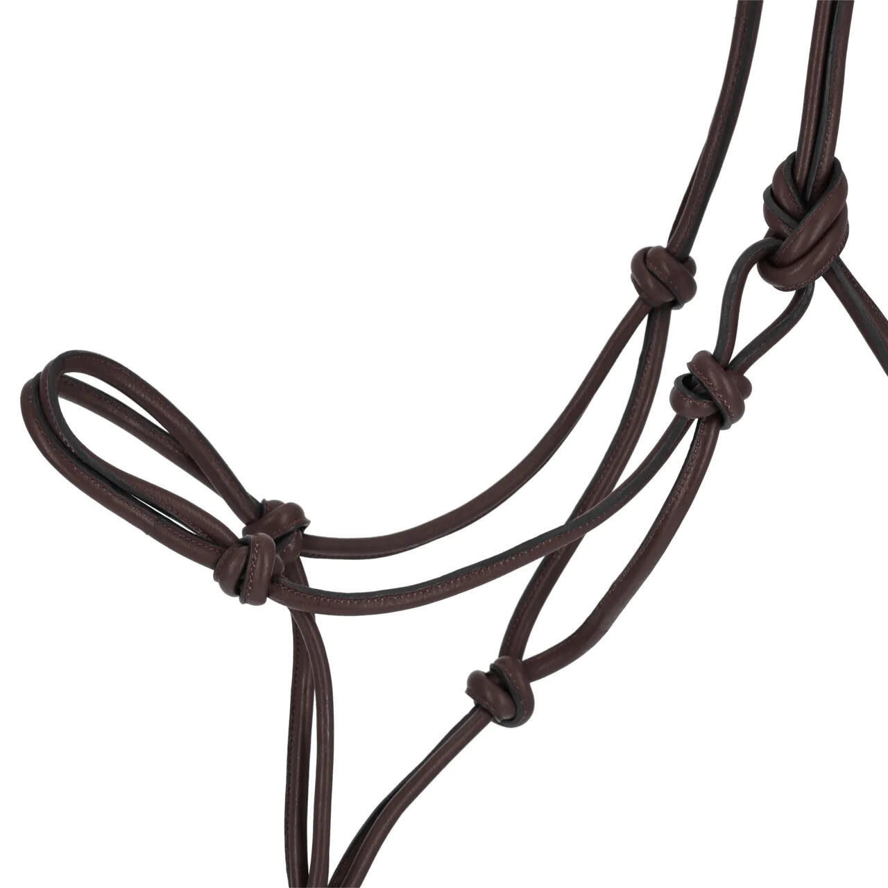 Licol pour cheval corde au cou QHP Liberta 2/4