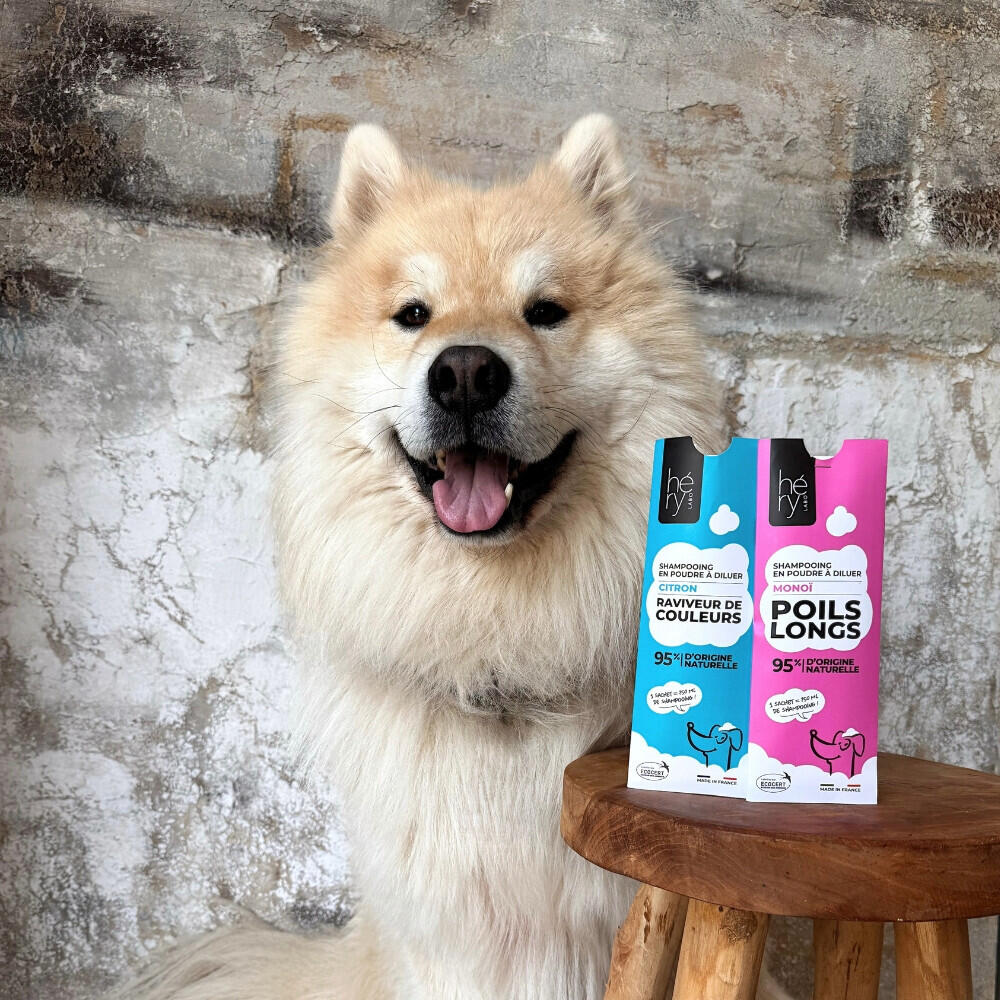 Shampoing pour chien poudre à poil long Héry 5/7