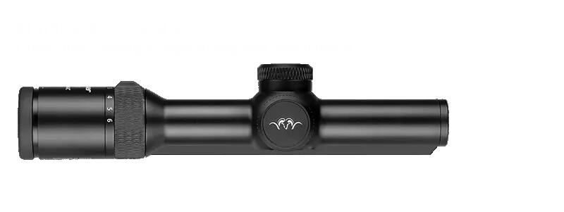 BLASER picture