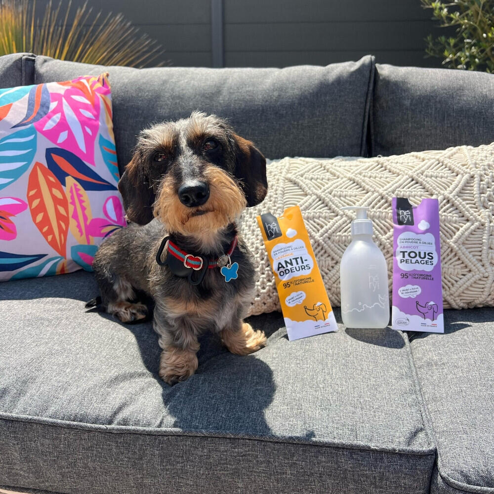 Hondenshampoo tegen geur Héry 6/7
