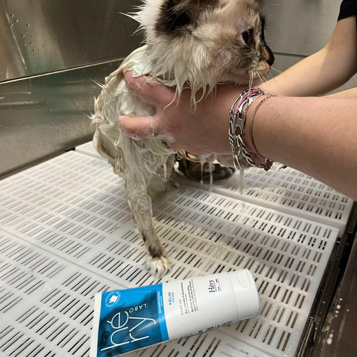 Shampoing pour chien Héry Felin 2/2