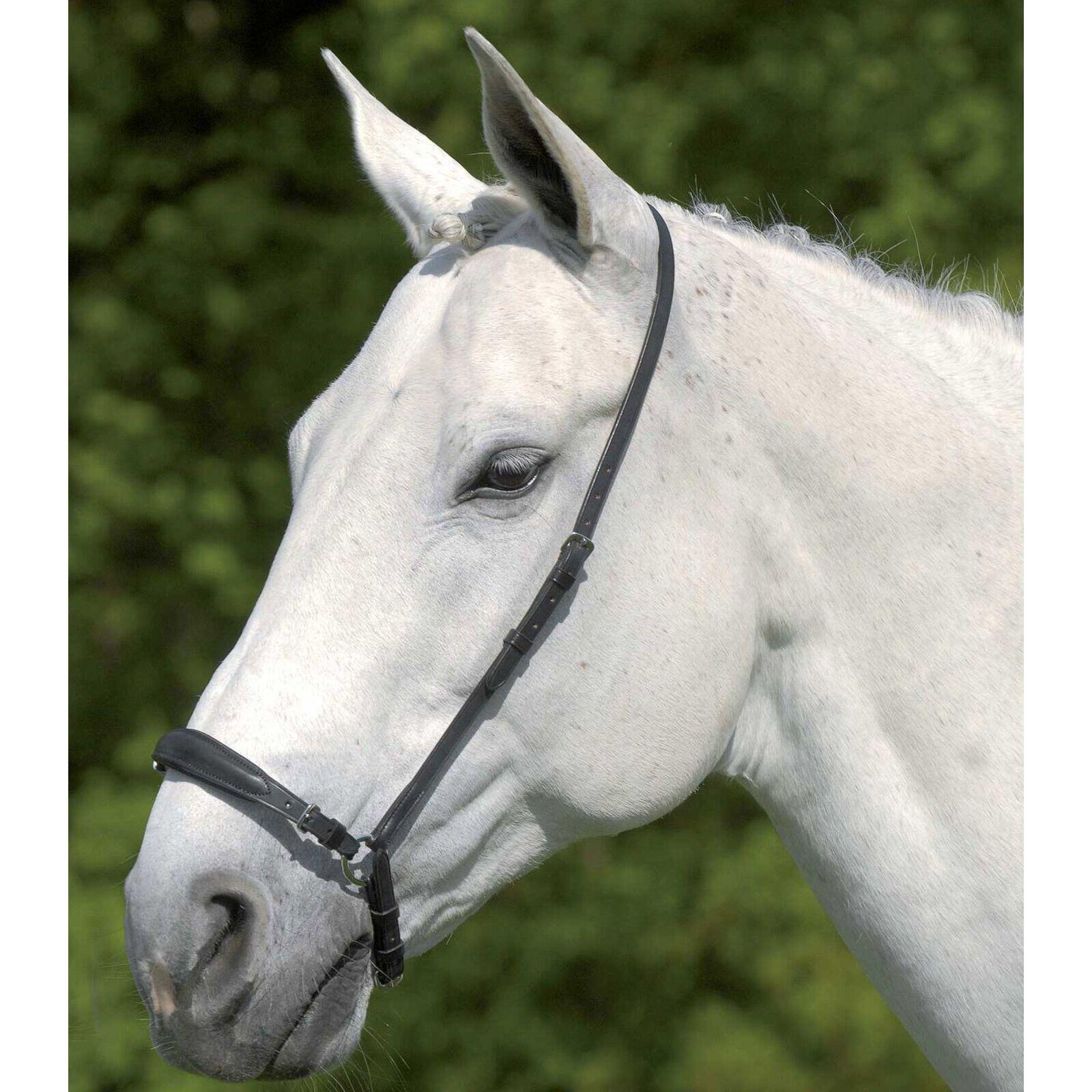 Muserolle cheval allemande réglable Waldhausen S-Line 2/2