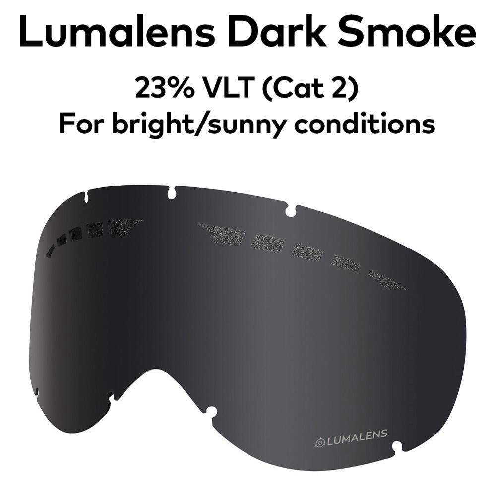 DXS Lunettes De Ski Pour Jeunes - Black/LL Dark Smoke 4/4
