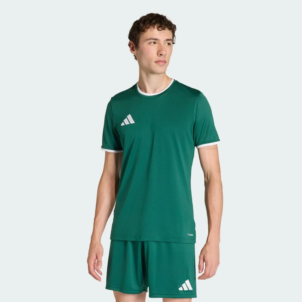 WHITE / GREEN