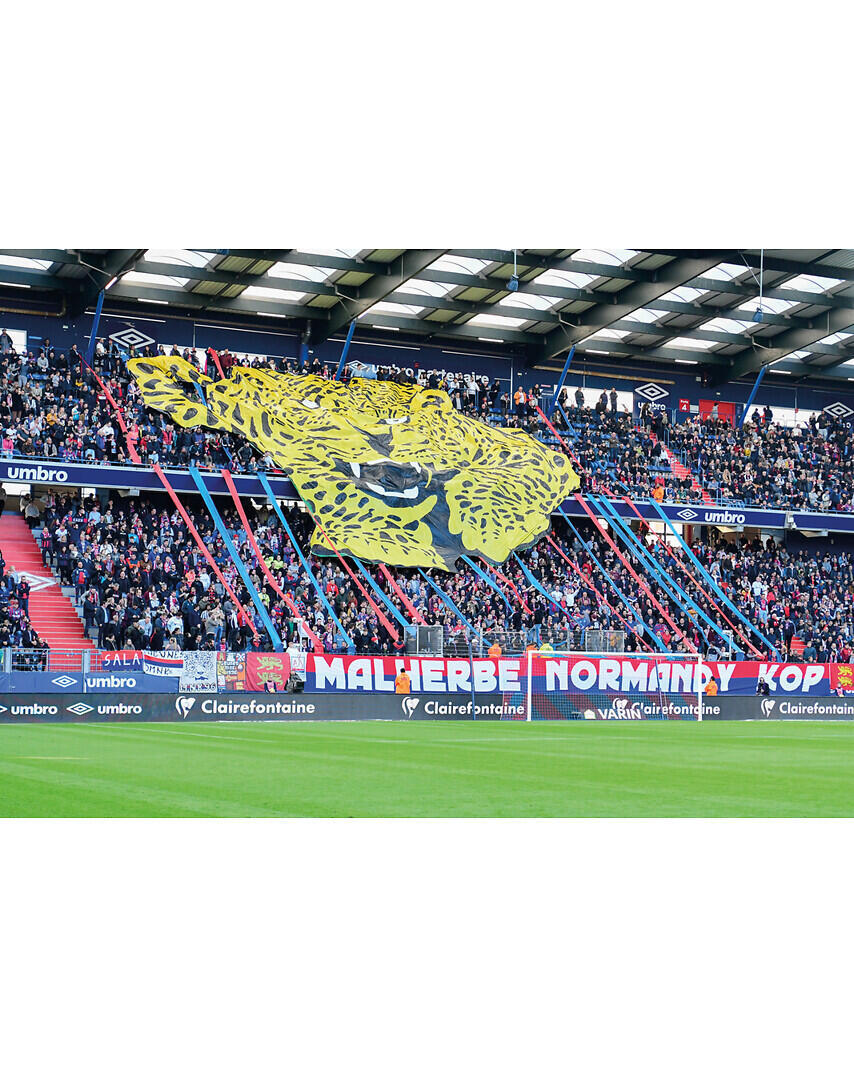 WONDERBOX - 2 places pour un match du Stade Malherbe Caen, valable 27 mois. 2/4