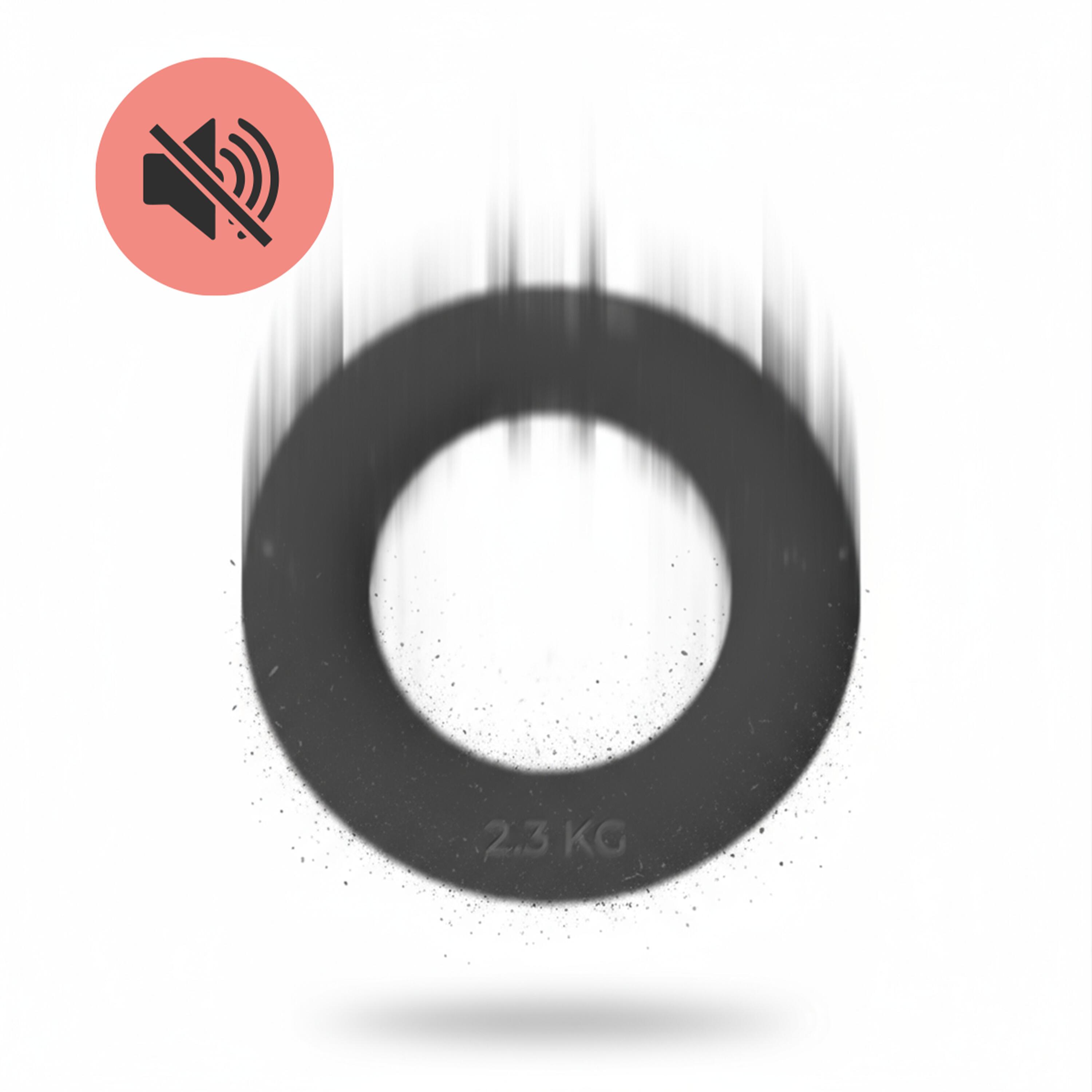OBRĘCZ OBCIĄŻENIOWA ROUND RING DO ĆWICZEŃ FITNESS REHABILITACJI 2,3 KG 7/7