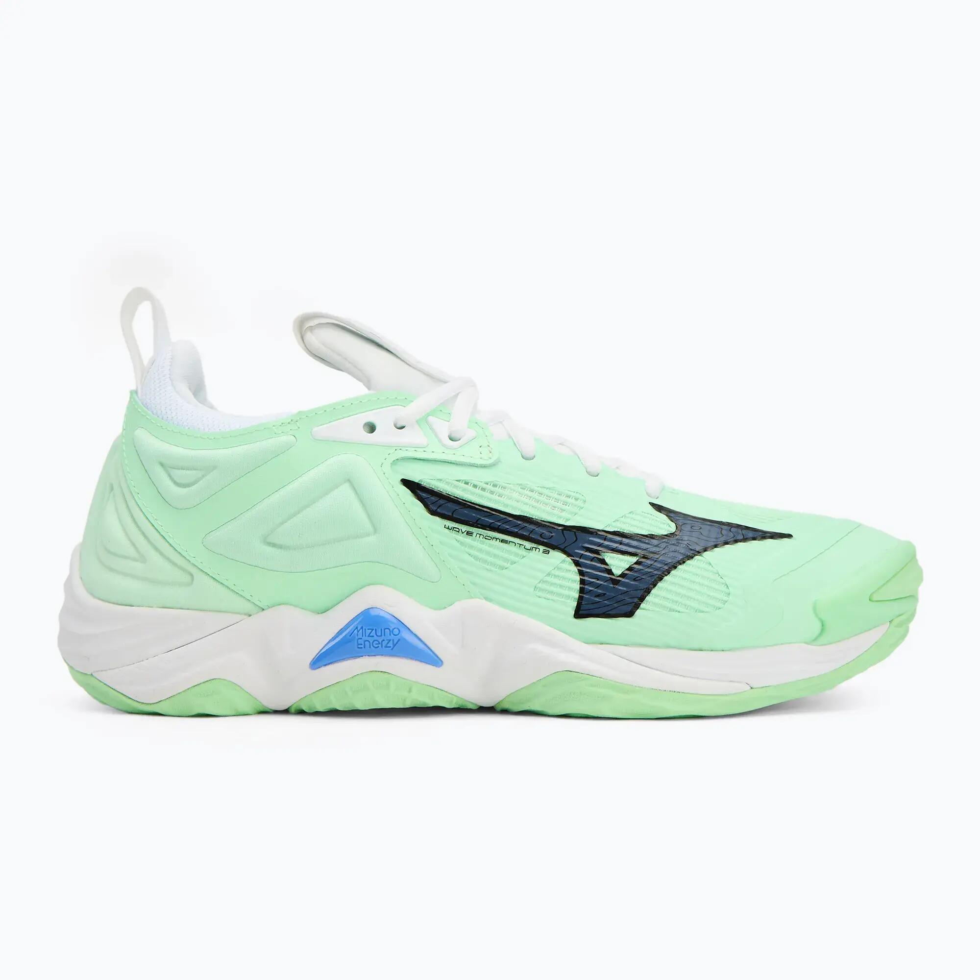 Sálové boty Mizuno Wave Momentum 4/5