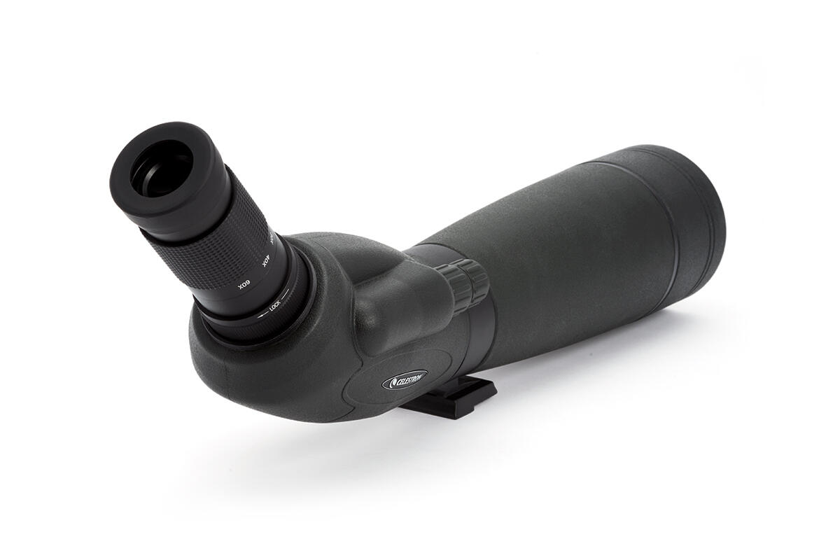 TRAILSEEKER 80 7/7