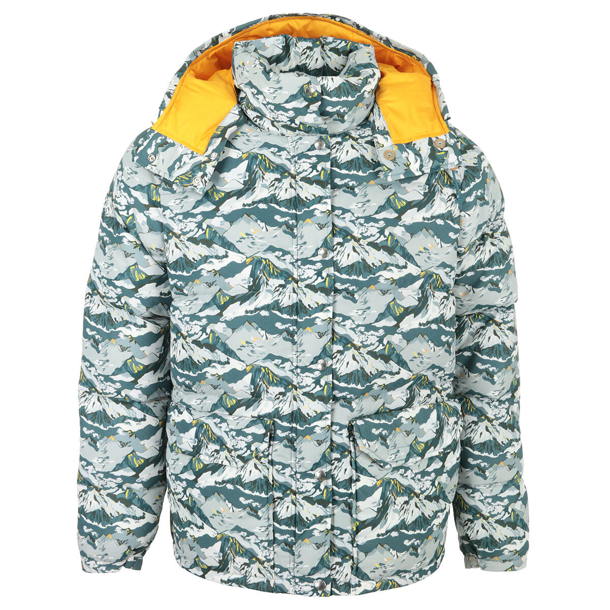 THE NORTH FACE picture