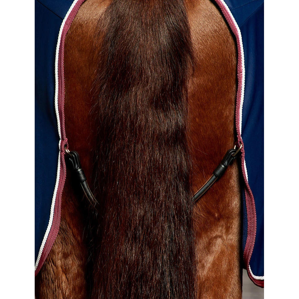 Couverture pour cheval Weatherbeeta Opulence 2/4