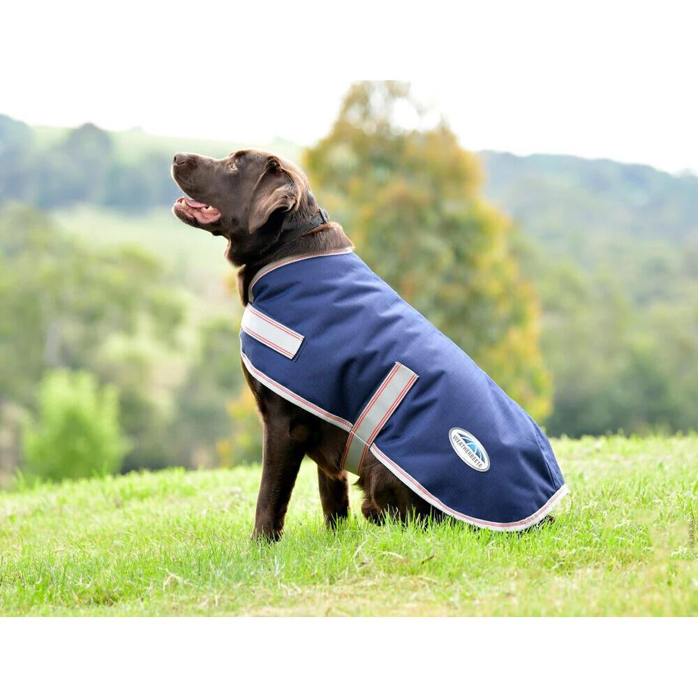 Manteau pour chien Weatherbeeta Comfitec Essential 2/2