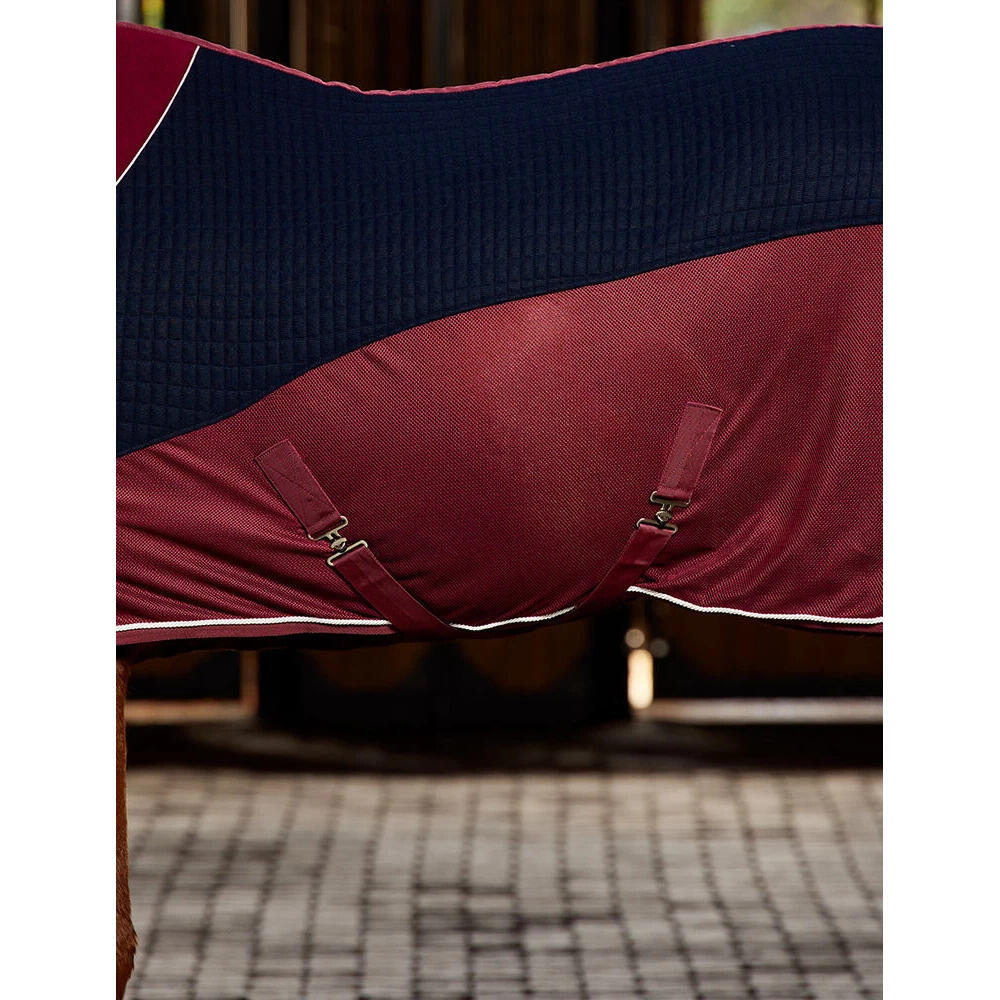 Couverture séchante pour cheval Weatherbeeta Thermo-Air 4/4