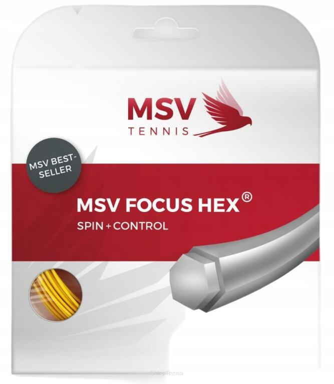 MSV TENNIS picture