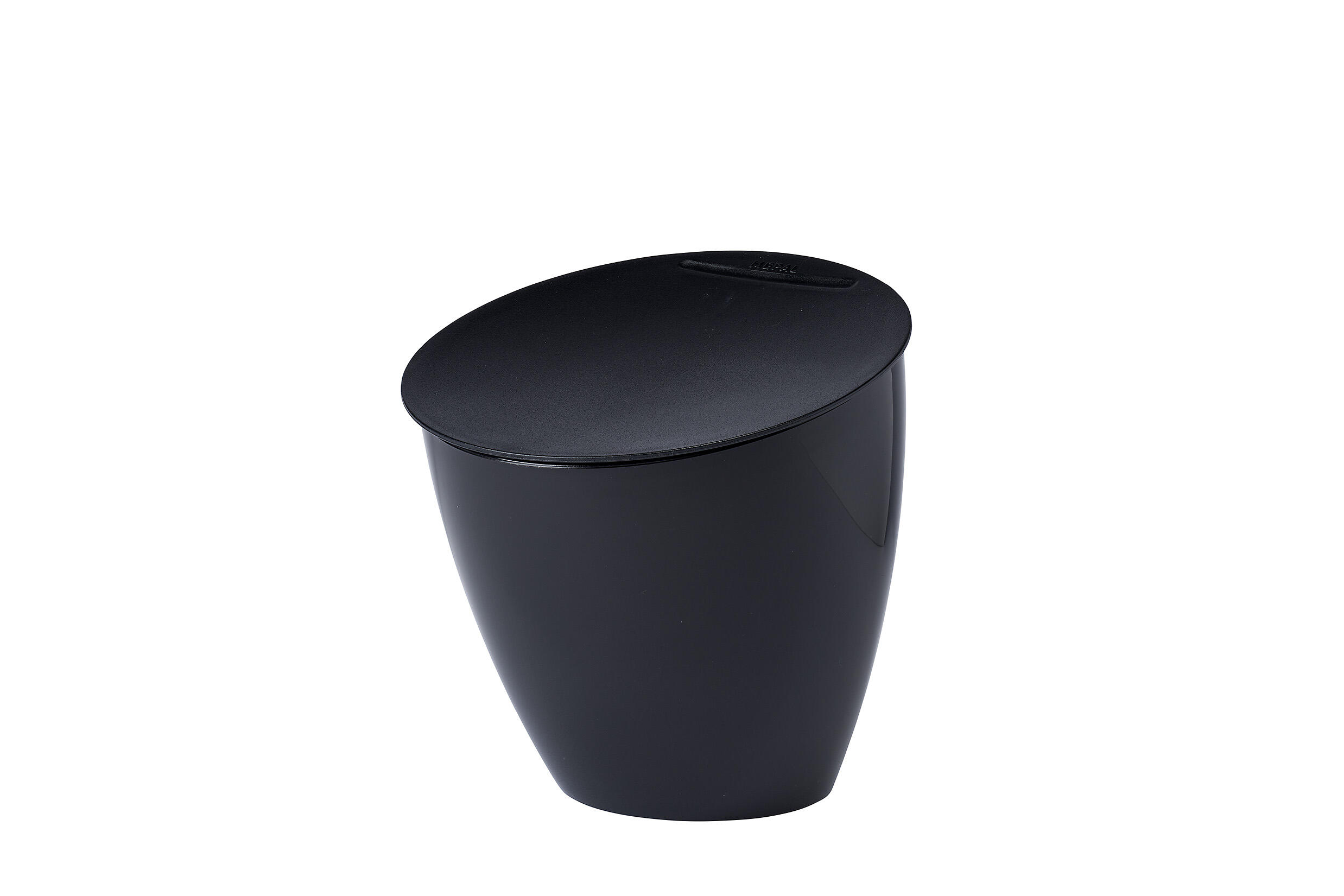 MEPAL picture