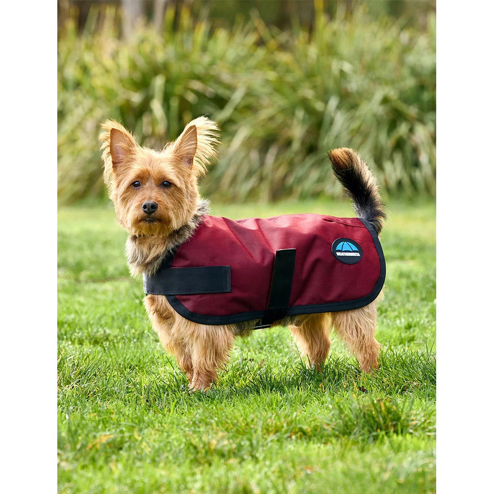 Weatherbeeta - Manteau Pour Chien Impérméable Weatherbeeta Comfitec Classic - Manteau Pour Chien - Marron|rouge - 45 Cm - Decathlon