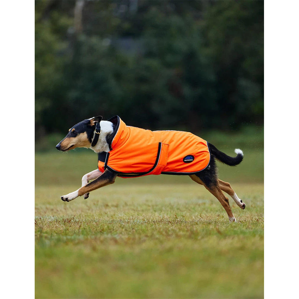 Hundemantel Weatherbeeta Comfitec Reflective Deluxe 300D 3/5