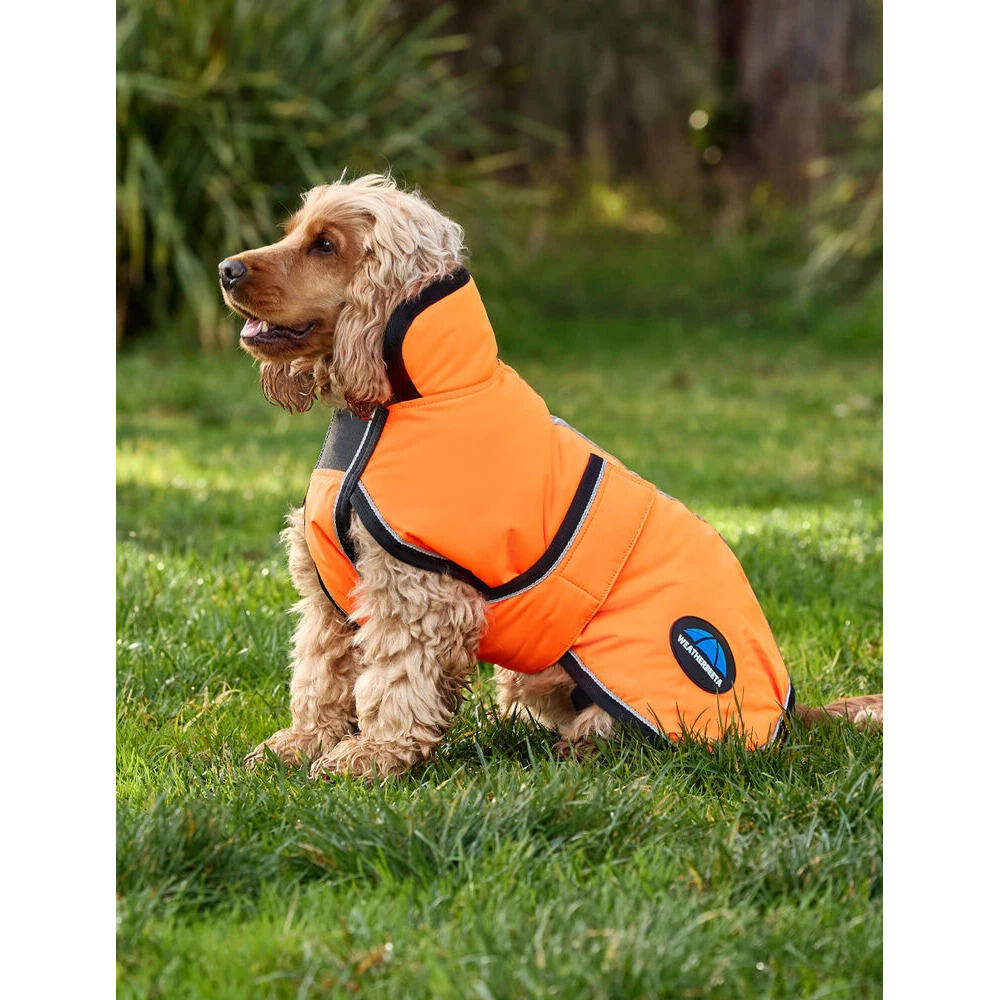Hundemantel Weatherbeeta Comfitec Reflective Deluxe 300D 2/5