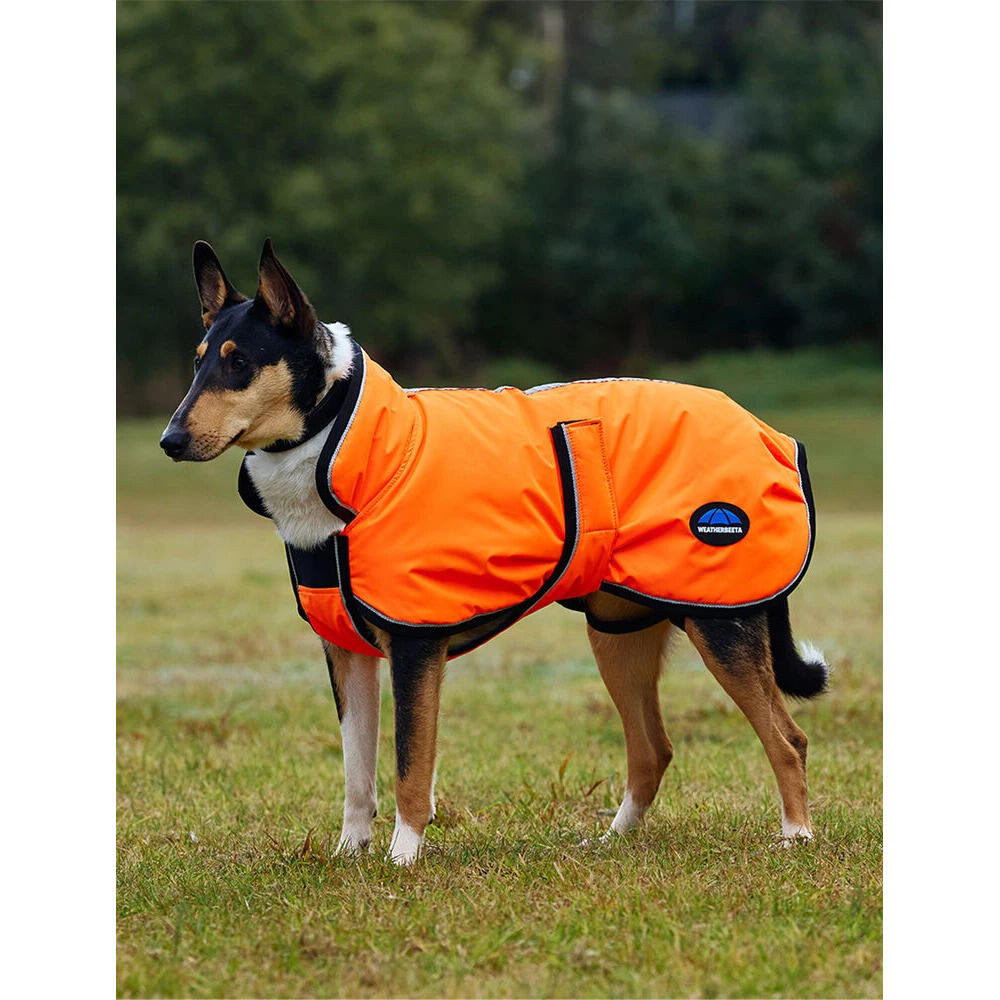 Weatherbeeta - Manteau Pour Chien Weatherbeeta Comfitec Reflective Deluxe 300d - Manteau Pour Chien - Orange - 30 Cm - Decathlon
