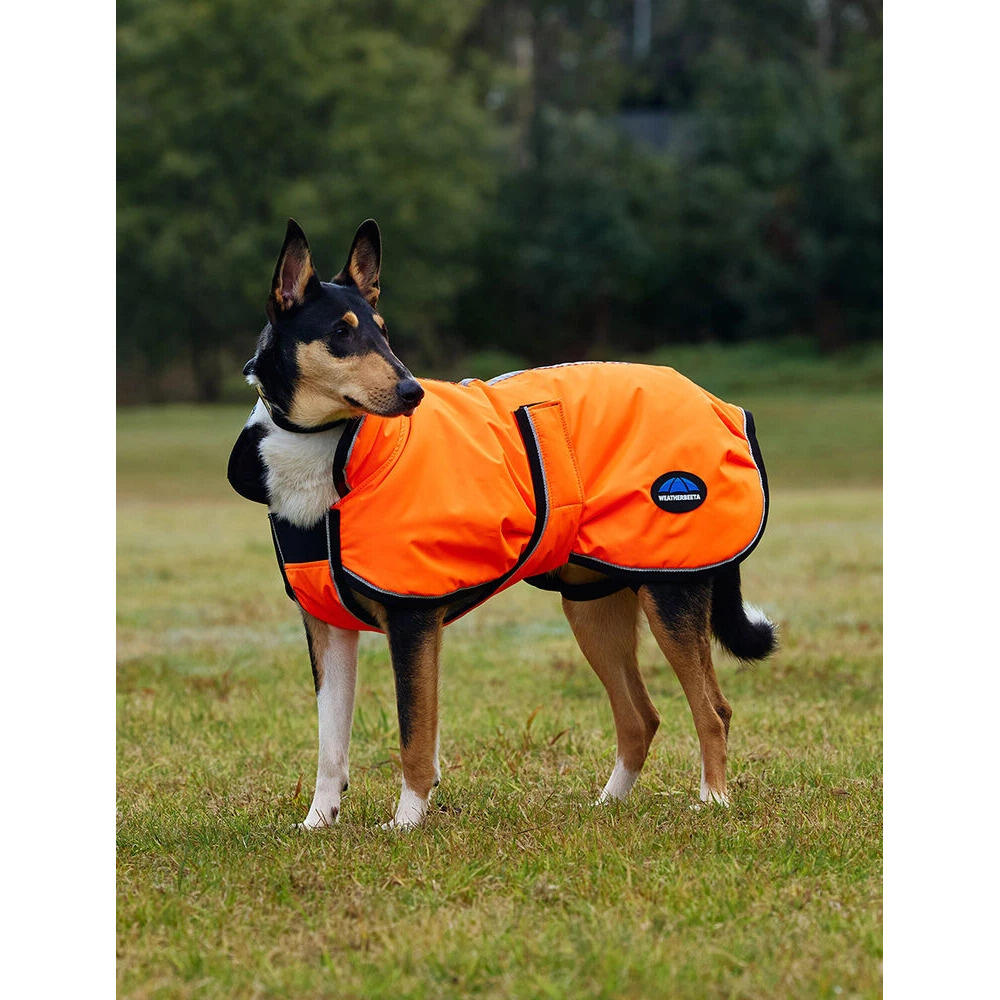 Hundemantel Weatherbeeta Comfitec Reflective Deluxe 300D 4/5