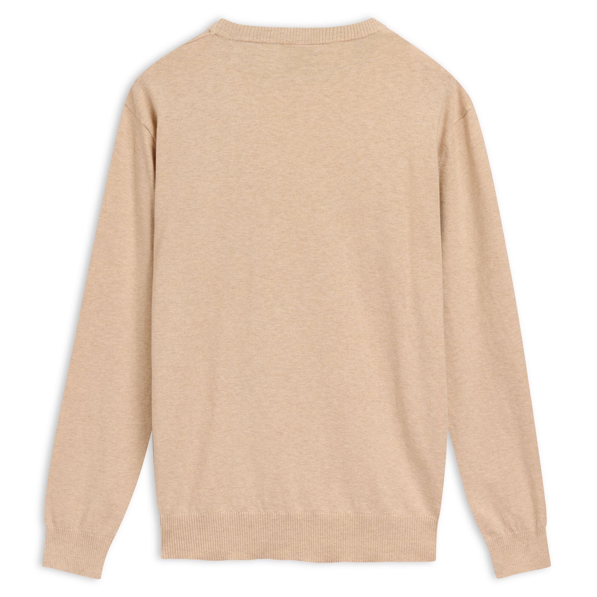 Maglione da uomo in cotone beige da lifestyle 2/3