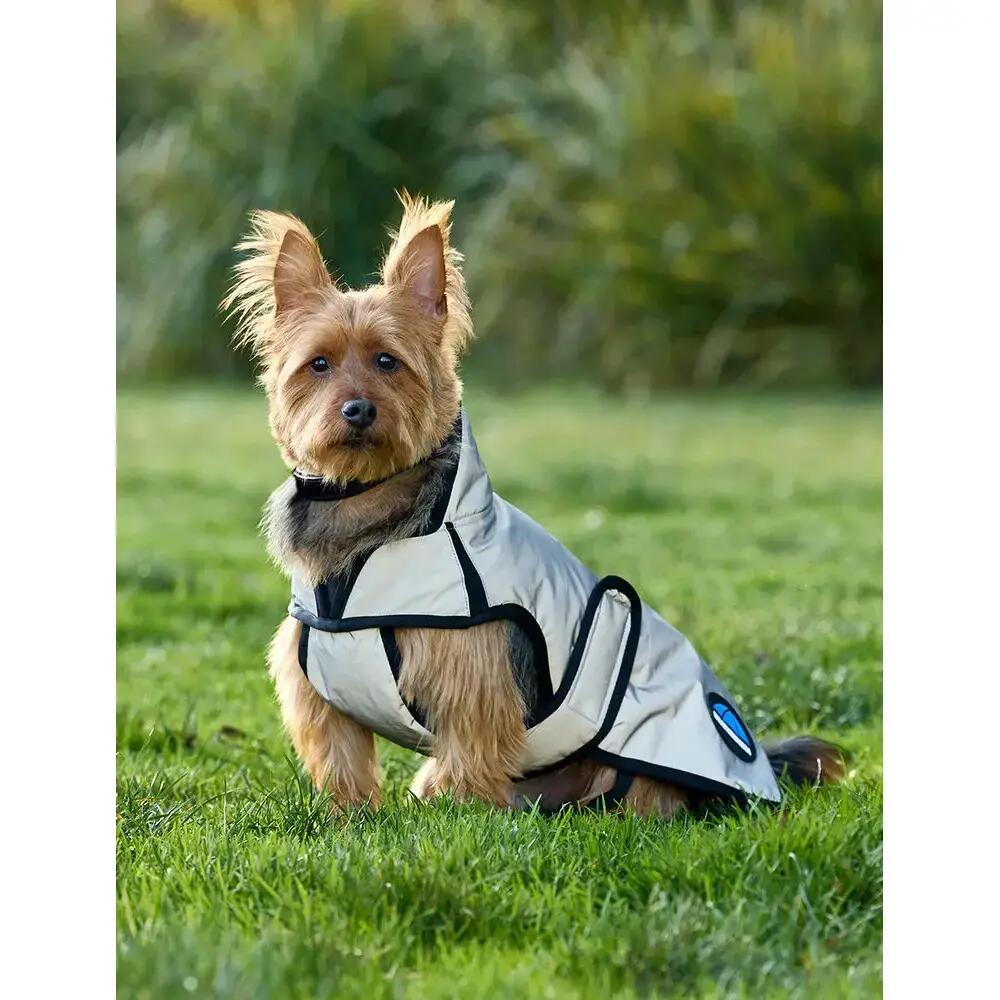 Manteau pour chien impérmeable Weatherbeeta Comfitec 2/3