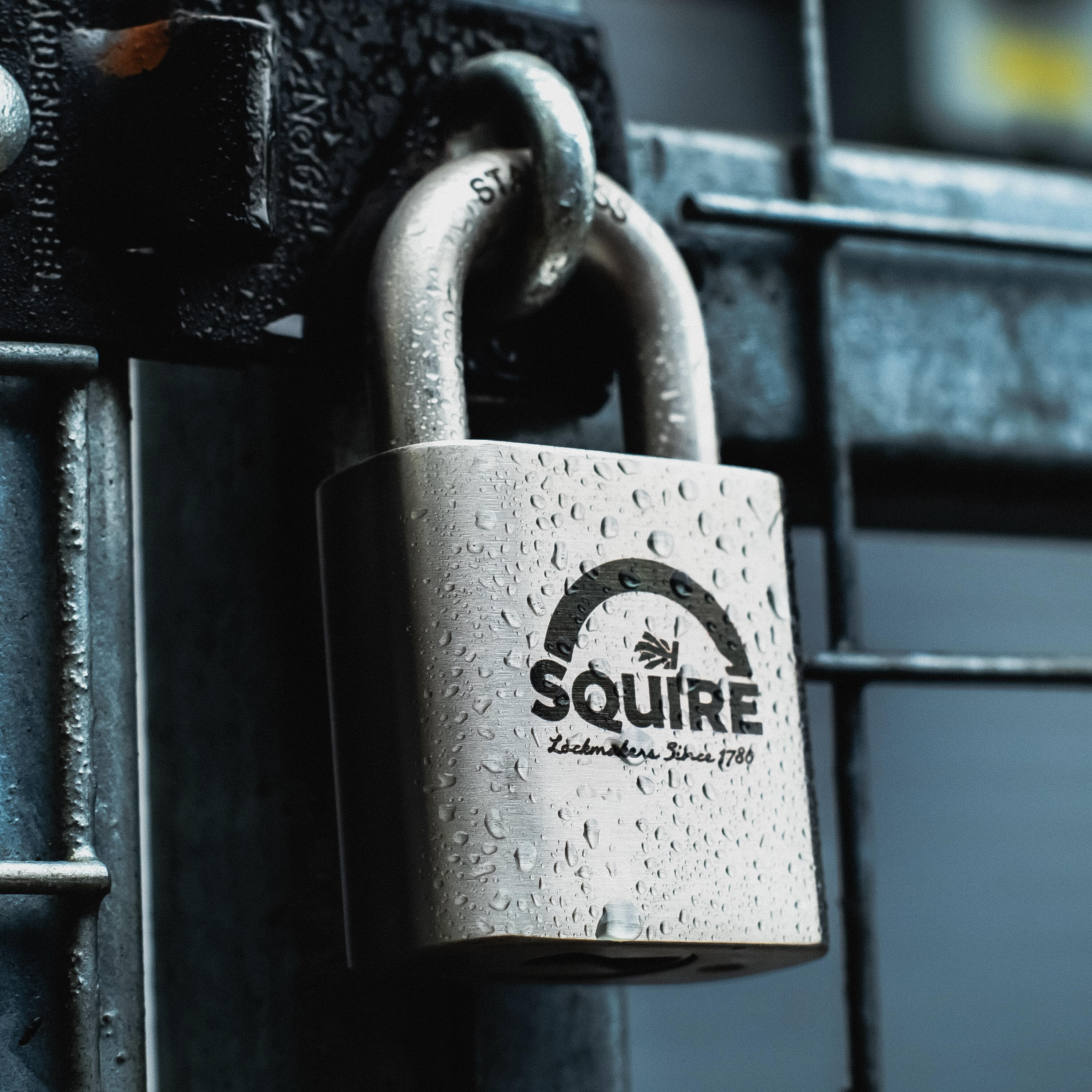 SQUIRE - Candado 50 mm acero inoxidable macizo, cilindro antitaladro 6 pines. 2/3