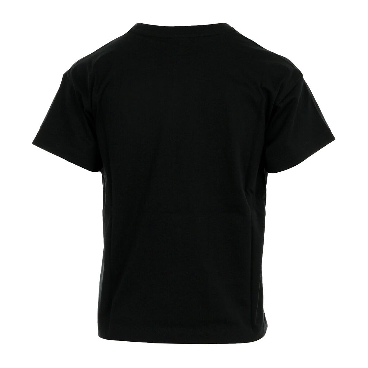 T-shirt Femme Crewneck T-shirt Wn's 2/2