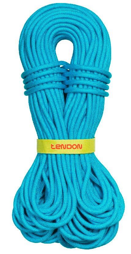 TENDON picture