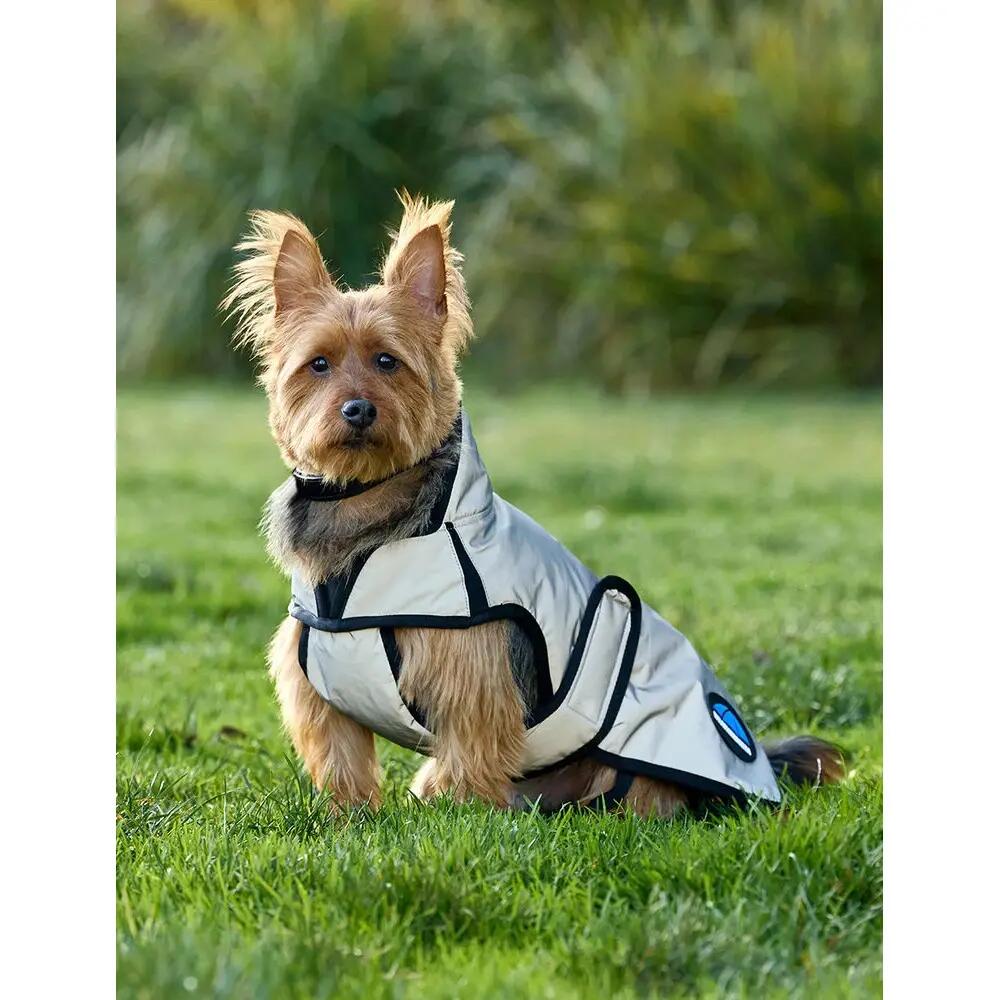 Abrigo impermeable para perro Weatherbeeta Comfitec 2/3