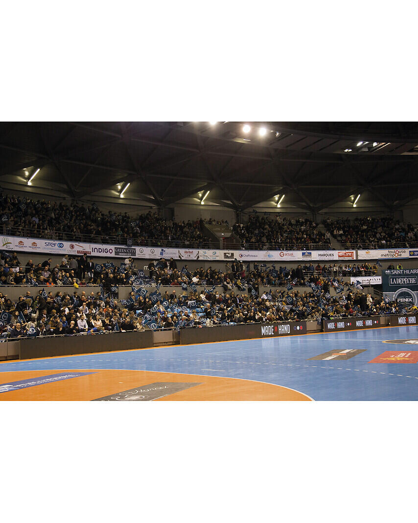 FENIX Toulouse Handball — 2 places pour un match à domicile (Wonderbox). 2/4