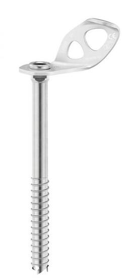 Eisschraube Petzl Laser 21 cm Stahl Aluminium 153 g zertifiziert CE UIAA