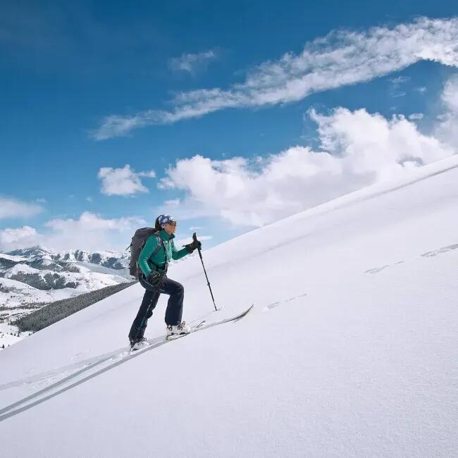 Bețe Telescopice MASTERS Skitour PRO Calu