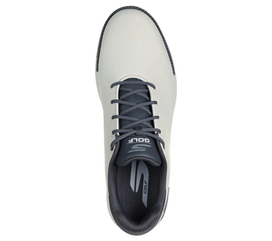 Skechers Go Golf Tempo GF Golfschoenen Heren Grijs 2/3
