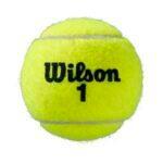 Tube of 3 tennis balls Wilson Roland Garros All CT 3/6
