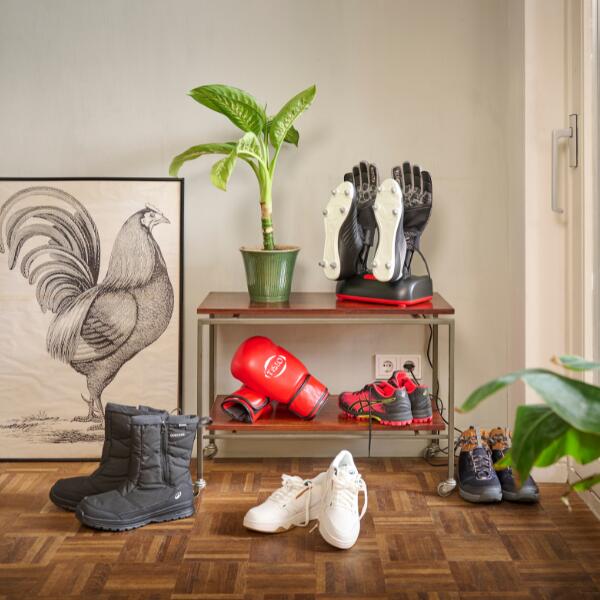 Ozone Asciuga scarpe e Deodorante per Scarpe sportive - 2 paia 7/8
