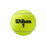 Tube balles de tennis 4 balles Wilson Roland Garros Clay CT (x2) 3/3