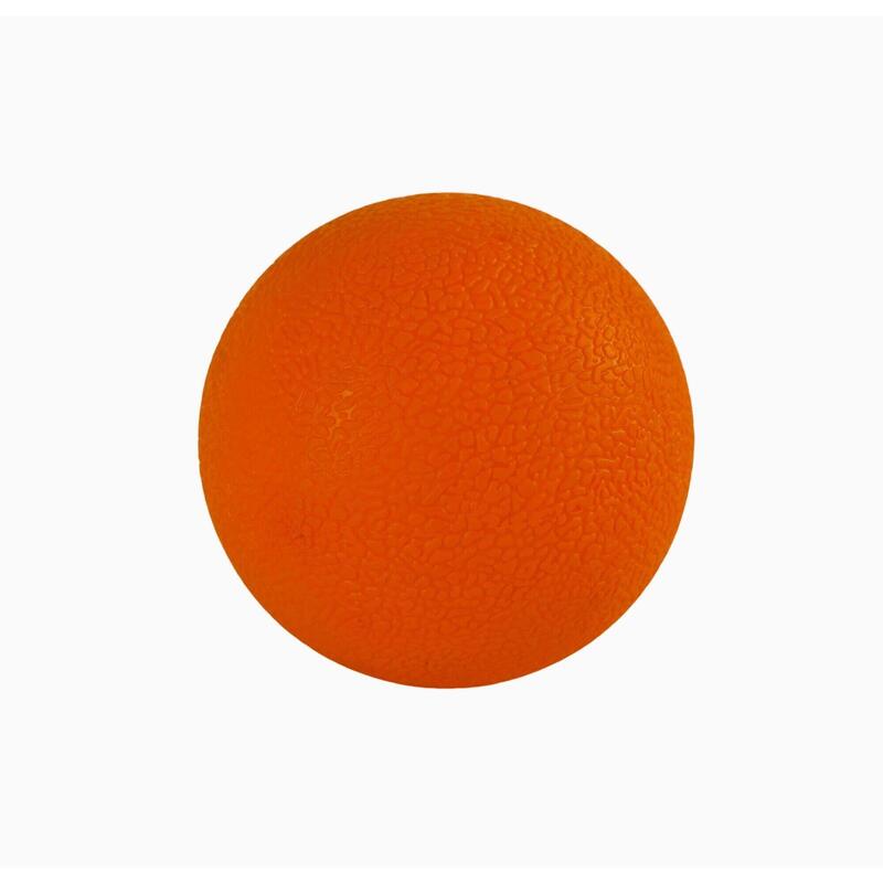 8a4f4954-7d7d-4057-8a43-a76758504b96_c20