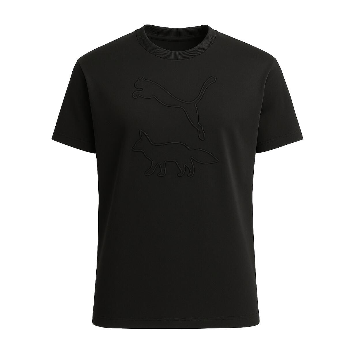 PUMA picture