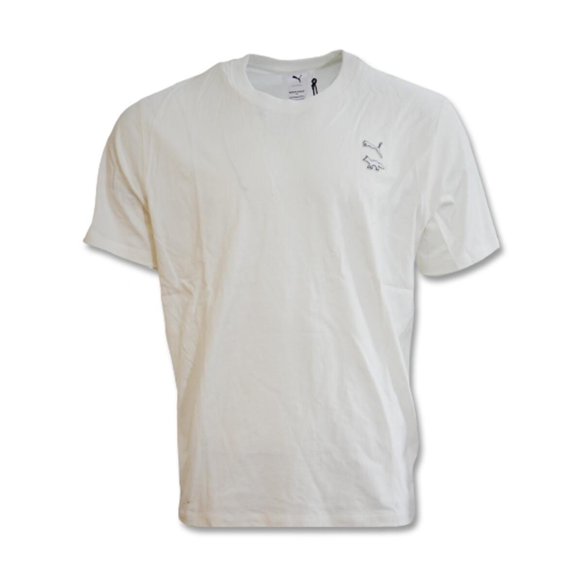 PUMA picture