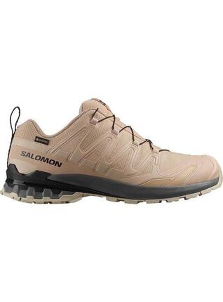 Course et sentier pour hommes Salomon Xa pro 3d v9 gore-tex Beige