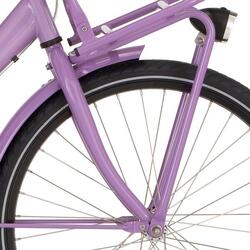 Cortina Porte-bagages Avant Basic Part 24 – Passion Pink, acier, 10 kg.