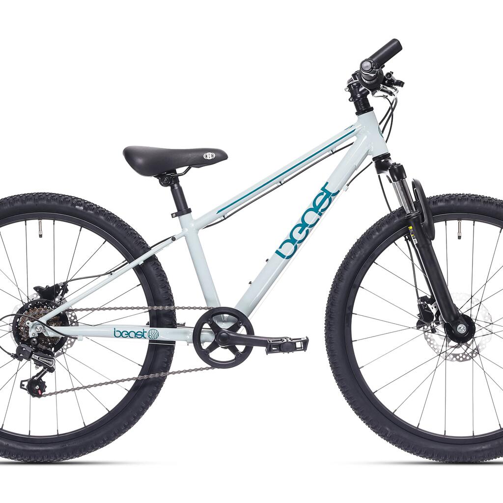 Bikefun Kids Bicycle The Beast 24 Inch 6 Speed Seagrass