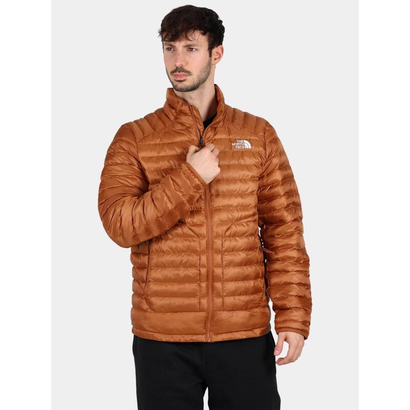 cf7cee0f-a10f-42a5-9fcb-711de73bca05_c197