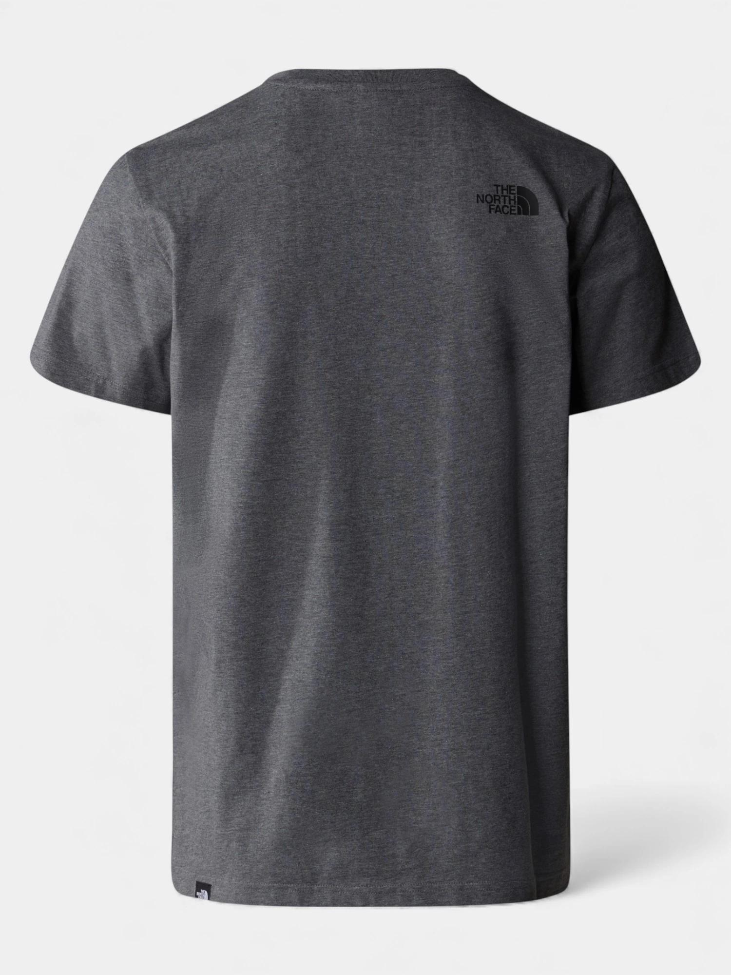 Magliette da uomo The North Face Grigie 5/6